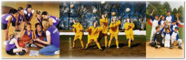 Team websites, club websites, league websites and social group web sites...Free trial