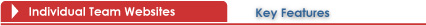 Click here for more information about our team website solutions